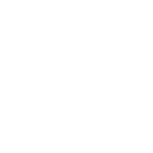 icon bus